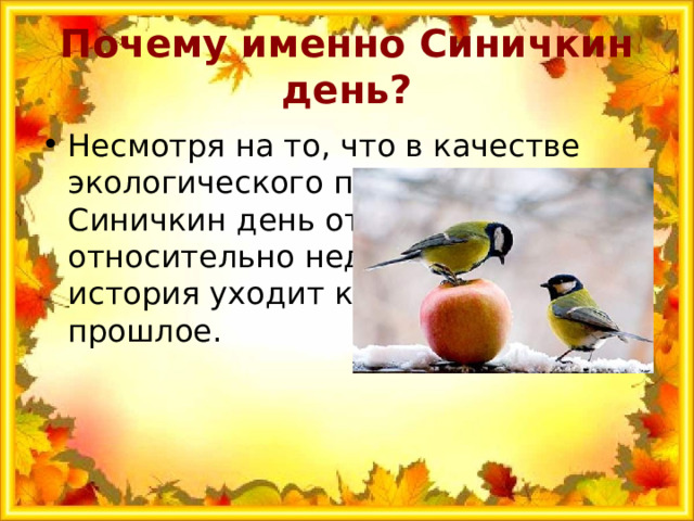 Почему именно Синичкин день? Несмотря на то, что в качестве экологического праздника Синичкин день отмечается относительно недавно, его история уходит корнями в далекое прошлое. 
