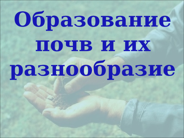 Образование почв и их разнообразие 