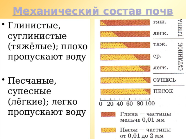 Механический состав почв Глинистые, суглинистые (тяжёлые); плохо пропускают воду Песчаные, супесные (лёгкие); легко пропускают воду 
