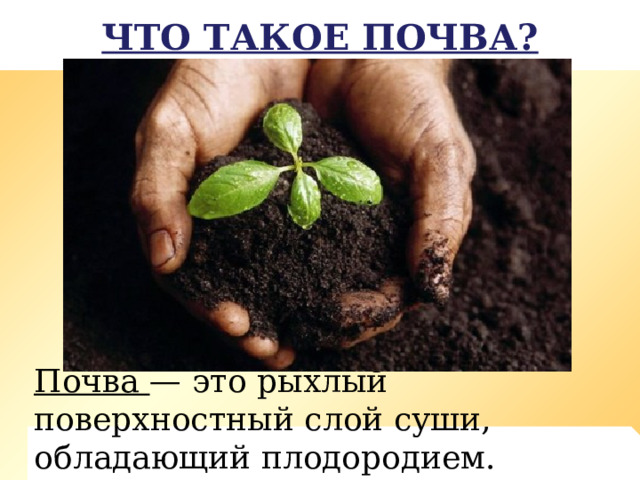 Что такое почва? Почва — это рыхлый поверхностный слой суши, обладающий плодородием. 