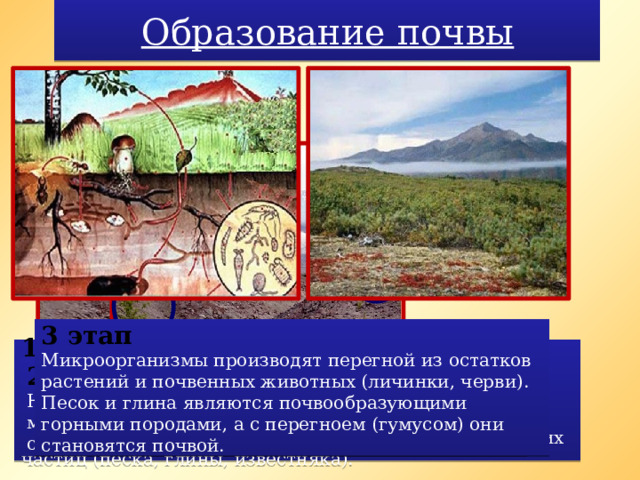 Образование почвы Процесс образования почвы идёт очень медленно, за 100 лет образуется слой почвы всего от 0,5 см до 2 см. 3 этап Микроорганизмы производят перегной из остатков растений и почвенных животных (личинки, черви). Песок и глина являются почвообразующими горными породами, а с перегноем (гумусом) они становятся почвой. 1 этап  Начинается с процесса выветривания (разрушения) горных пород. При помощи ветра, солнца и осадков происходит разрушение горных массивов. В свою очередь, отколовшиеся валуны расщепляются до мелких частиц (песка, глины, известняка). 2 этап На разрушенных горных породах поселяются микроорганизмы, первые растения и лишайники, семена которых приносит ветер. 