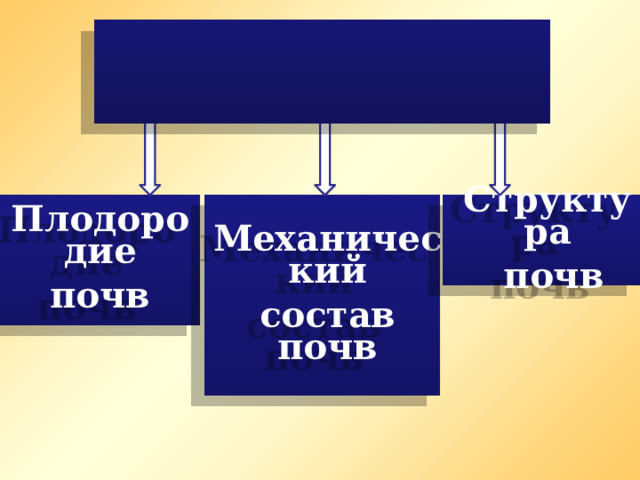 Основные свойства почв Плодородие Механический Структура почв состав почв  почв 