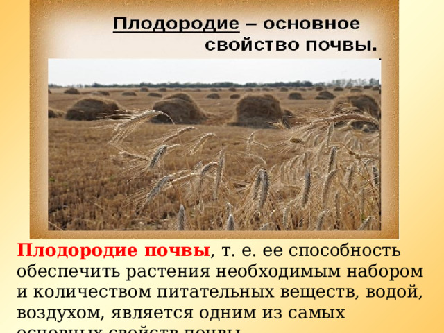 Плодородие почвы , т. е. ее способность обеспечить растения необходимым набором и количеством питательных веществ, водой, воздухом, является одним из самых основных свойств почвы. 