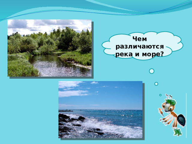  Чем различаются река и море?   