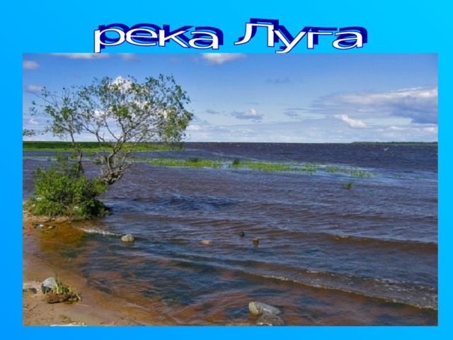 Луга – это река протекает по Ленинградской и Новгородской областям. Берёт начало из Тесовских болот в Новгородской области. Протяженность составляет 353 км, впадает в Лужскую губу Финского залива. Притоков 13, один из них река Оредеж. Города – Кингисепп и Луга. 