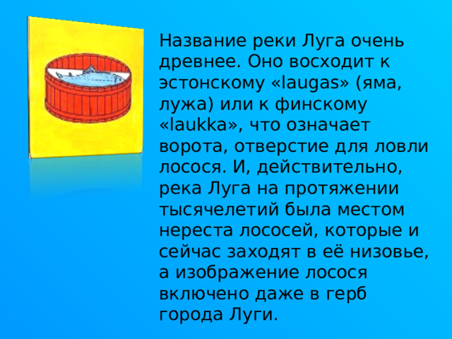 Название реки Луга очень древнее. Оно восходит к эстонскому «laugas» (яма, лужа) или к финскому «laukka», что означает ворота, отверстие для ловли лосося. И, действительно, река Луга на протяжении тысячелетий была местом нереста лососей, которые и сейчас заходят в её низовье, а изображение лосося  включено даже в герб города Луги. 