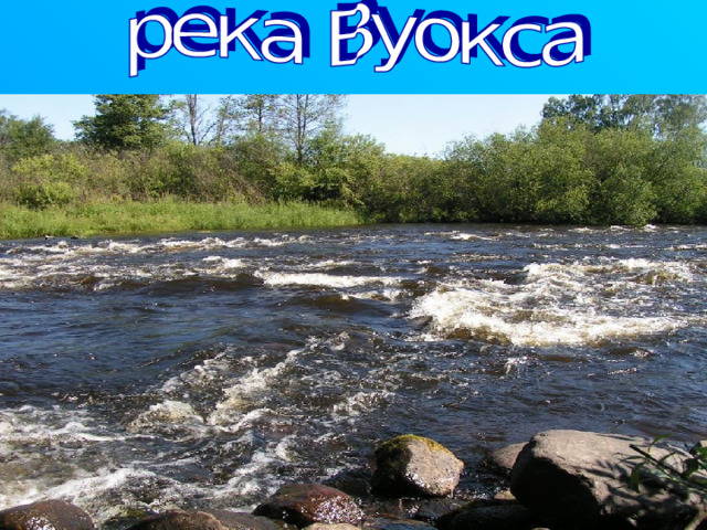 Вуокса – это озерно-речная система Карельского перешейка. Состоит из одной протоки и нескольких озер. Своё начало берет в Финляндии в озере Сайма, впадает в Ладожское озеро, дина реки 156 км. Основные притоки небольшие речушки такие как река Бурная, Тихая и другие. Вуокса не всегда спокойная река. В районе поселка Лосево она представляет собой бурную протоку, которую в народе называют Лосевские пороги. Города на Вуоксе: Каменногорск, Приозерск, Светогорск. 