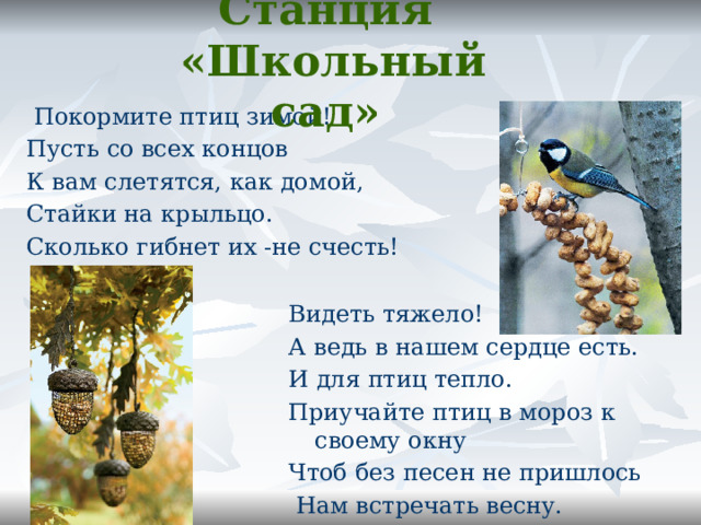 Станция   «Школьный сад»  Покормите птиц зимой! Пусть со всех концов К вам слетятся, как домой, Стайки на крыльцо. Сколько гибнет их -не счесть!     Видеть тяжело! А ведь в нашем сердце есть. И для птиц тепло. Приучайте птиц в мороз к своему окну Чтоб без песен не пришлось  Нам встречать весну. 