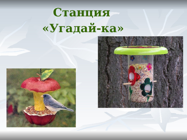 Станция  «Угадай-ка» 