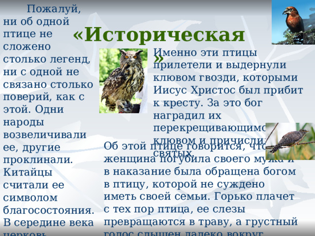  Пожалуй, ни об одной птице не сложено столько легенд, ни с одной не связано столько поверий, как с этой. Одни народы возвеличивали ее, другие проклинали. Китайцы считали ее символом благосостояния. В середине века церковь объявила эту птицу « нечистым животным», слугой дьявола. Что это за птица ? Станция   «Историческая»   Именно эти птицы прилетели и выдернули клювом гвозди, которыми Иисус Христос был прибит к кресту. За это бог наградил их перекрещивающимся клювом и причислил к лику святых. Об этой птице говорится, что одна женщина погубила своего мужа и в наказание была обращена богом в птицу, которой не суждено иметь своей семьи. Горько плачет с тех пор птица, ее слезы превращаются в траву, а грустный голос слышен далеко вокруг. 