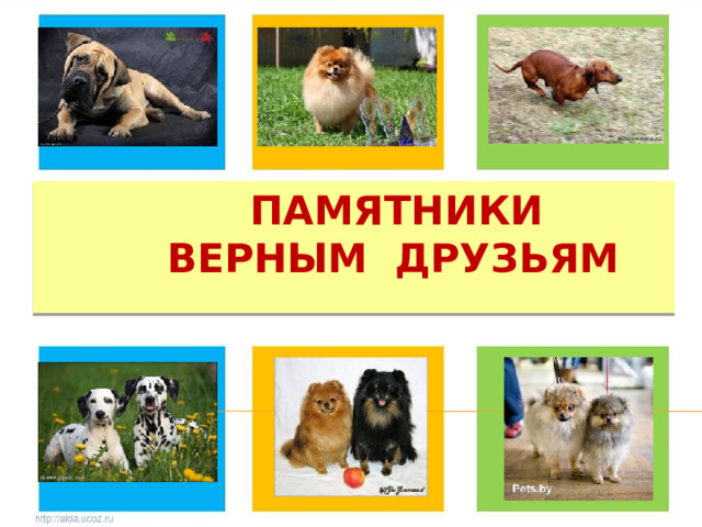  Памятники  верным друзьям 