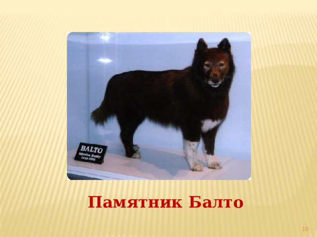 Памятник Балто  