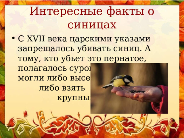 Интересные факты о синицах С XVII века царскими указами запрещалось убивать синиц. А тому, кто убьет это пернатое, полагалось суровое наказание — могли либо высечь, либо взять крупный штраф. 