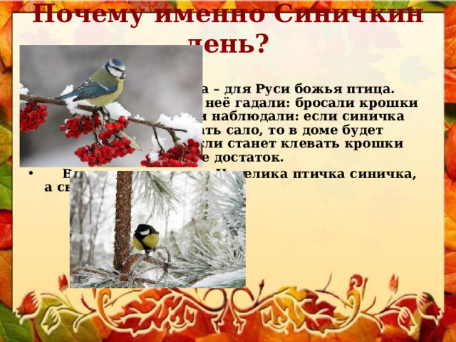 Почему именно Синичкин день?   Да потому что синица – для Руси божья птица. Раньше в старину на неё гадали: бросали крошки хлеба, кусочки сала и наблюдали: если синичка сначала станет клевать сало, то в доме будет вестись живность, если станет клевать крошки хлеба, то будет в доме достаток.  В народе говорили «Невелика птичка синичка, а свой праздник знает».   