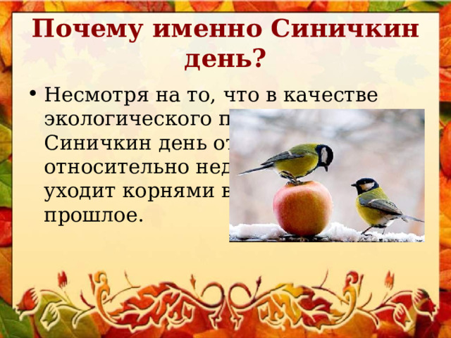 Почему именно Синичкин день? Несмотря на то, что в качестве экологического праздника Синичкин день отмечается относительно недавно, его история уходит корнями в далекое прошлое. 