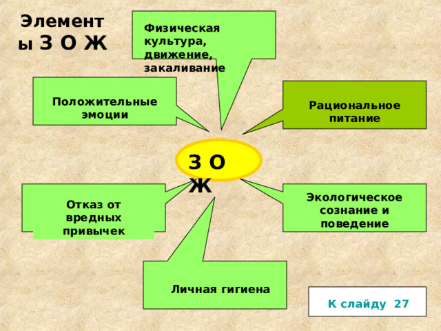 Элементы З О Ж Физическая культура, движение, закаливание Положительные эмоции Рациональное питание З О Ж Экологическое сознание и поведение Отказ от вредных привычек Личная гигиена К слайду  27 