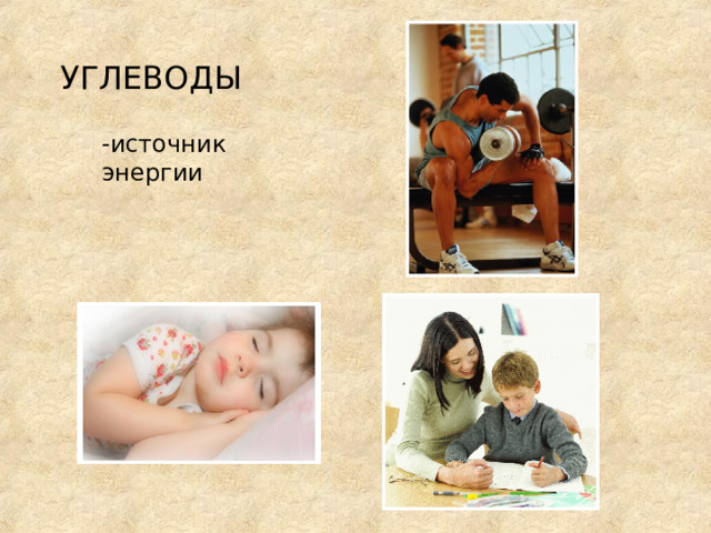 УГЛЕВОДЫ -источник энергии 