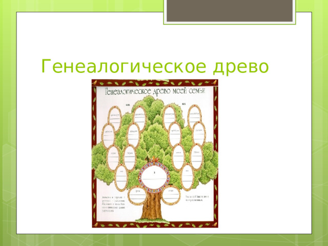 Генеалогическое древо 