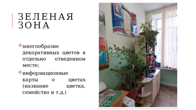 Зеленая зона многообразие декоративных цветов в отдельно отведенном месте; информационные карты о цветах (название цветка, семейство и т.д.) 
