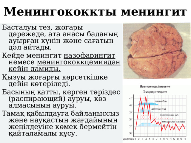 Менингококкты менингит Басталуы тез, жоғары дәрежеде, ата анасы баланың ауырған күнін және сағатын дәл айтады. Кейде менингит назофарингит немесе менингококкцемиядан кейін дамиды. Қызуы жоғарғы көрсеткішке дейін көтеріледі. Басының қатты, керген тәріздес (распирающий) ауруы, көз алмасының ауруы. Тамақ қабылдауға байланыссыз және науқастың жағдайының жеңілдеуіне көмек бермейтін қайталамалы құсу. 