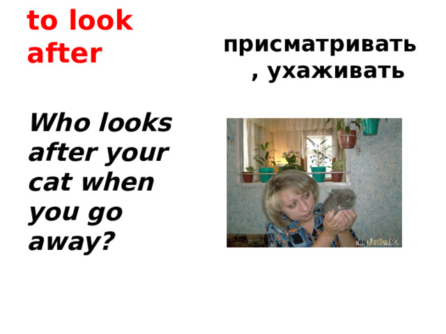 to look after присматривать, ухаживать Who looks after your cat when you go away? 