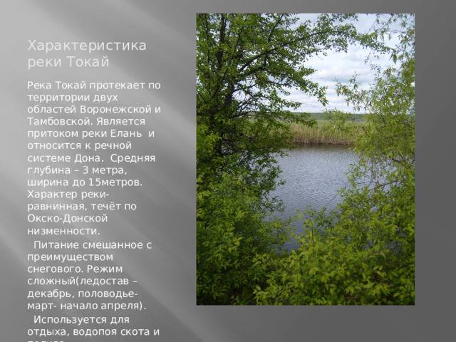 Характеристика реки Токай Река Токай протекает по территории двух областей Воронежской и Тамбовской. Является притоком реки Елань и относится к речной системе Дона. Средняя глубина – 3 метра, ширина до 15метров. Характер реки- равнинная, течёт по Окско-Донской низменности.  Питание смешанное с преимуществом снегового. Режим сложный(ледостав – декабрь, половодье- март- начало апреля).  Используется для отдыха, водопоя скота и полива. 