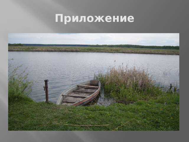 Приложение 