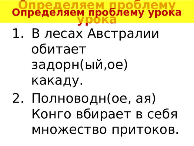 Определяем проблему урока Определяем проблему урока В лесах Австралии обитает задорн(ый,ое) какаду. Полноводн(ое, ая) Конго вбирает в себя множество притоков. 