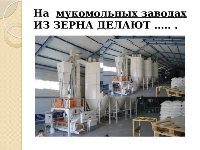 На мукомольных заводах из зерна делают ….. . 