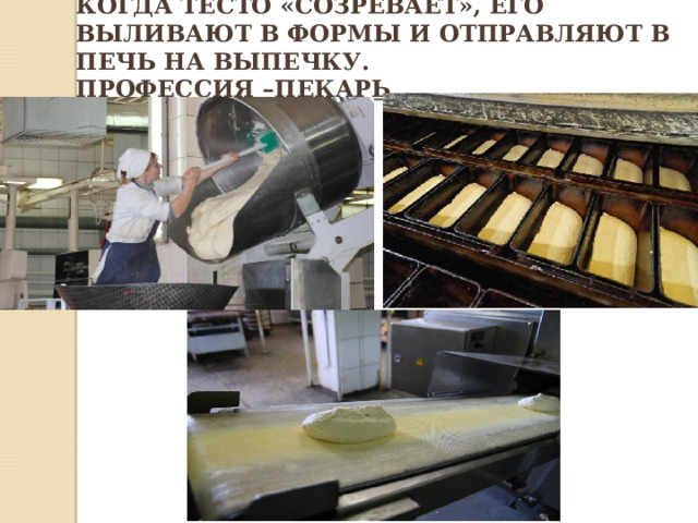 когда тесто «Созревает», его выливают в формы и отправляют в печь на выпечку.  Профессия –пекарь. 