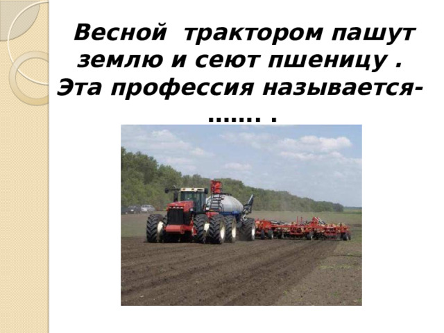Весной трактором пашут землю и сеют пшеницу .  Эта профессия называется-  ……. . 
