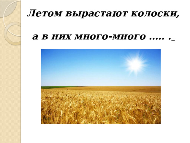 Летом вырастают колоски,  а в них много-много ….. .  