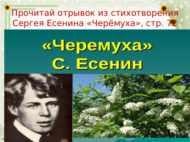 Прочитай отрывок из стихотворения Сергея Есенина «Черёмуха», стр. 72 