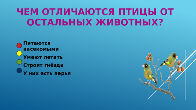 Чем отличаются птицы от остальных животных? Питаются насекомыми Умеют летать Строят гнёзда У них есть перья 