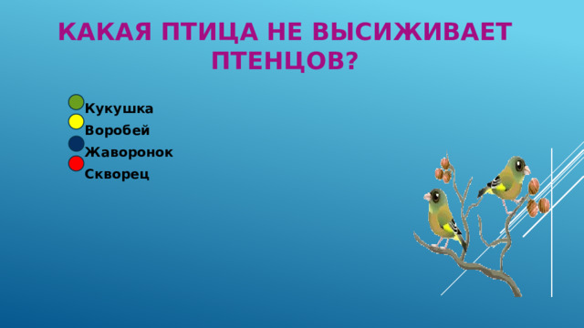 Какая птица не высиживает птенцов? Кукушка Воробей Жаворонок Скворец 