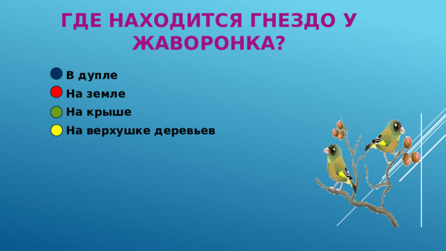 Где находится гнездо у жаворонка? В дупле На земле На крыше На верхушке деревьев 