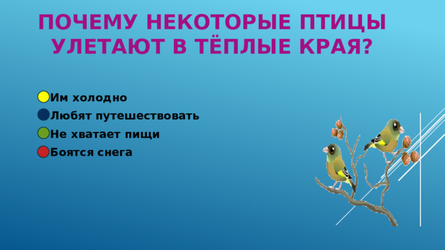 Почему некоторые птицы улетают в тёплые края? Им холодно Любят путешествовать Не хватает пищи Боятся снега 