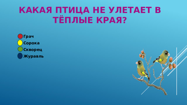Какая птица не улетает в тёплые края? Грач Сорока Скворец Журавль 