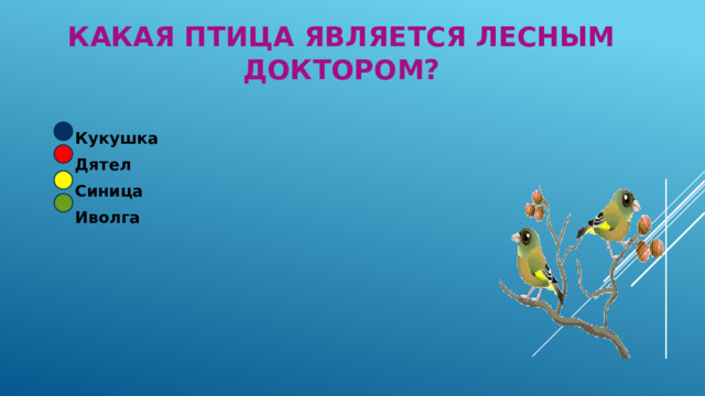 Какая птица является лесным доктором? Кукушка Дятел Синица Иволга 