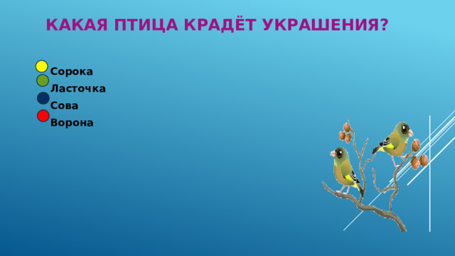 Какая птица крадёт украшения? Сорока Ласточка Сова Ворона 