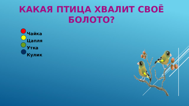 Какая птица хвалит своё болото? Чайка Цапля Утка Кулик 