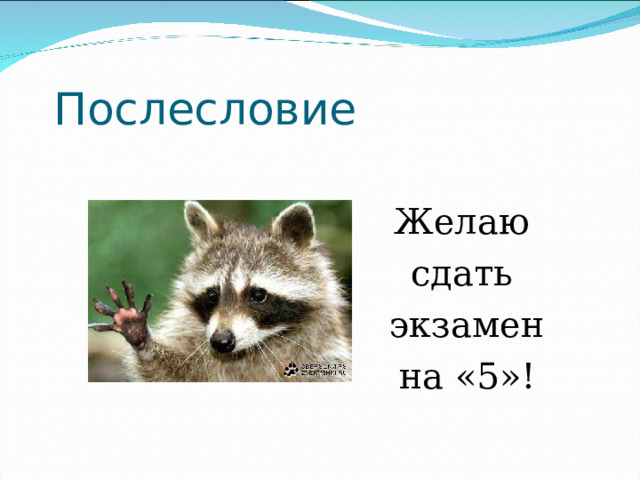 Послесловие Желаю сдать экзамен на «5»! 