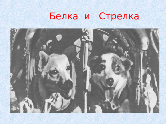  Белка и Стрелка 