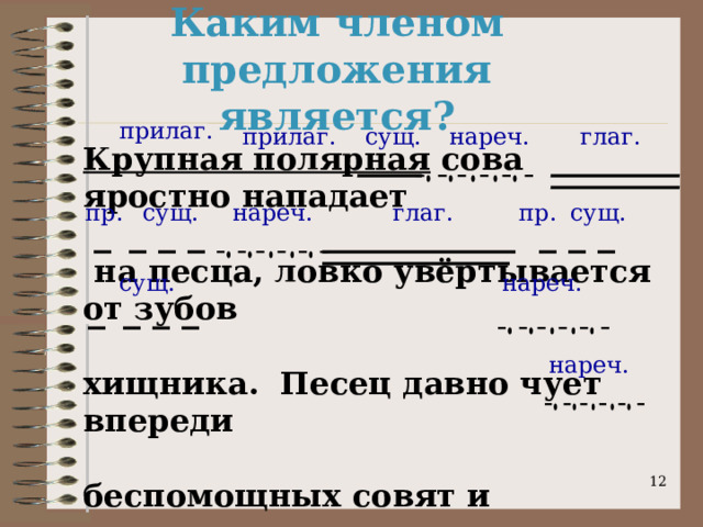 Каким членом предложения является? прилаг. прилаг. нареч. глаг. сущ. Крупная полярная сова яростно нападает   на песца, ловко увёртывается от зубов  хищника. Песец давно чует впереди  беспомощных совят и стремится туда.  сущ. глаг. пр. сущ. пр. нареч. нареч. сущ. нареч.  