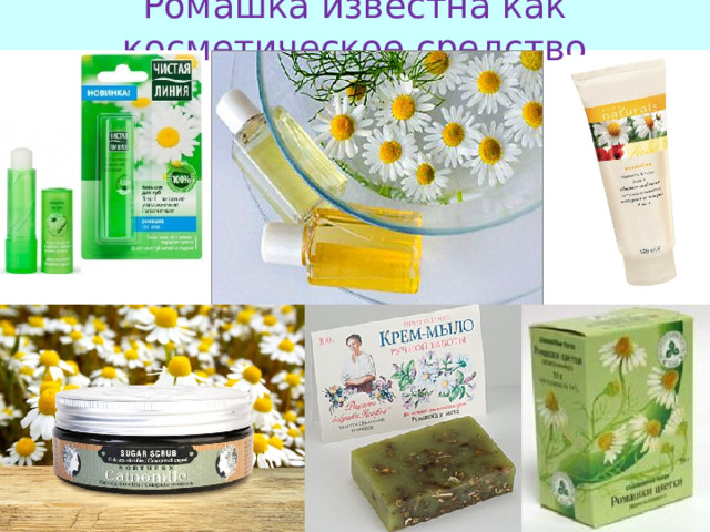 Ромашка известна как косметическое средство 