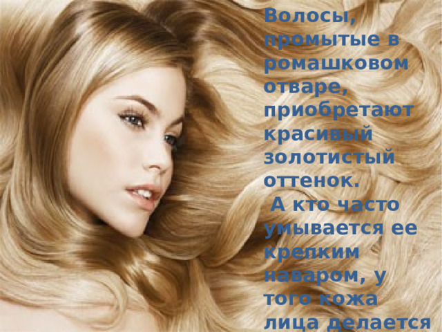 Волосы, промытые в ромашковом отваре, приобретают красивый золотистый оттенок.  А кто часто умывается ее крепким наваром, у того кожа лица делается бархатистой и нежной. 
