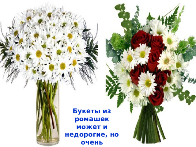 Букеты из ромашек может и недорогие, но очень трогательные и весёлые. 