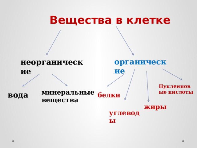 Вещества в клетке органические неорганические Нуклеиновые кислоты минеральные вещества вода белки жиры углеводы 