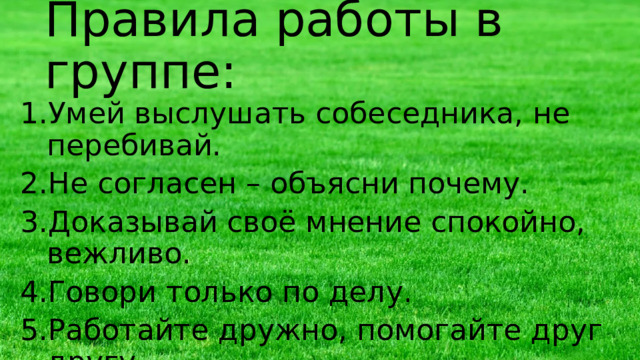 Правила работы в группе: Умей выслушать собеседника, не перебивай. Не согласен – объясни почему. Доказывай своё мнение спокойно, вежливо. Говори только по делу. Работайте дружно, помогайте друг другу. 