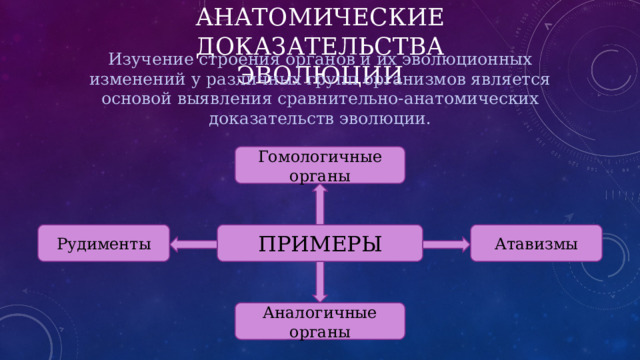 СРАВНИТЕЛЬНО-АНАТОМИЧЕСКИЕ ДОКАЗАТЕЛЬСТВА ЭВОЛЮЦИИ Изучение строения органов и их эволюционных изменений у различных групп организмов является основой выявления сравнительно-анатомических доказательств эволюции. Гомологичные органы ПРИМЕРЫ Рудименты Атавизмы Аналогичные органы 